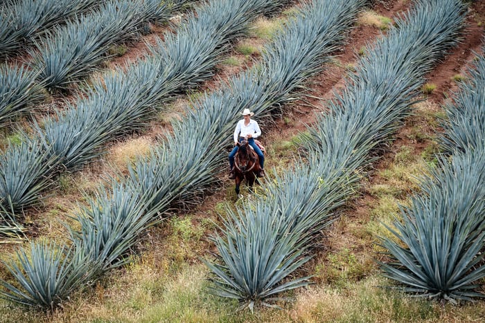 1_Campo_Bravo_Tequila_Texas