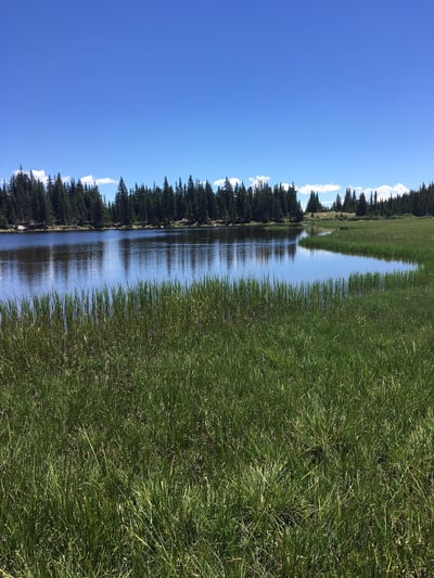 2017-torquoise-lake-denver