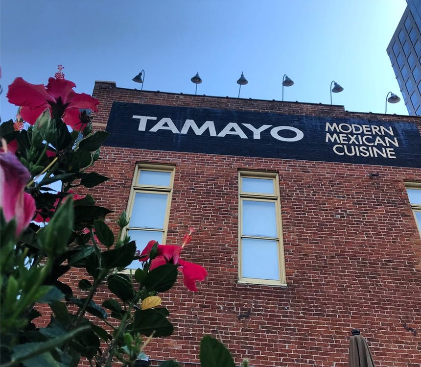 Top 10 Best Tequila Bars In Denver