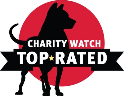 Charity-Watch-woo-valentine